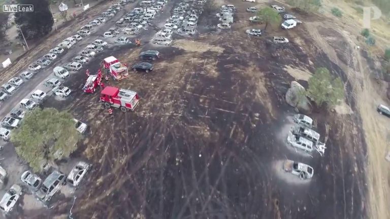 Во пожар изгореа 422 автомобили на фестивал во Португалија