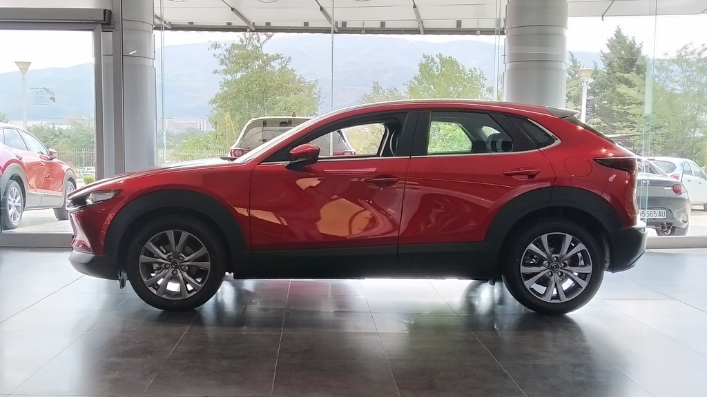mazda cx-30 nosecka mazda cx-30