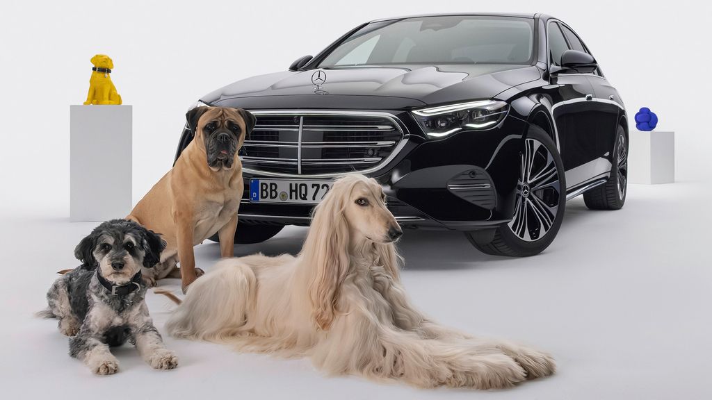 mercedes bark asist