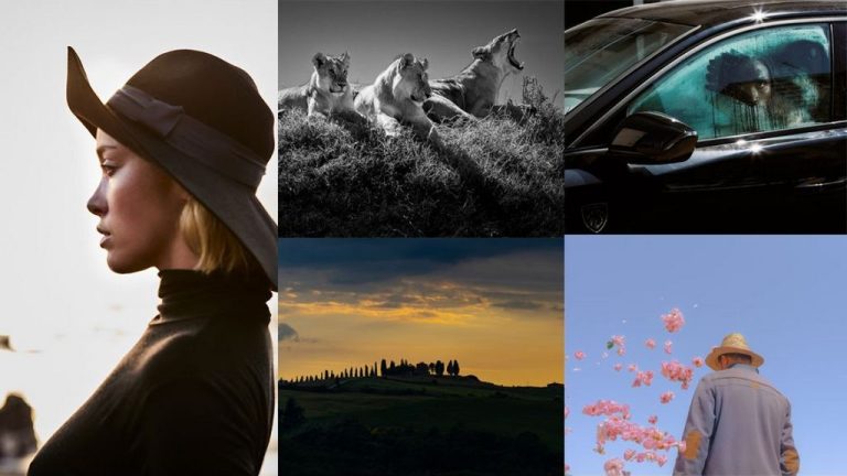 Peugeot со уметноста: Топ-фотографите завршија одлична работа