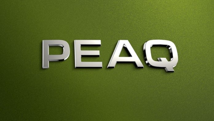 skoda peaq ime