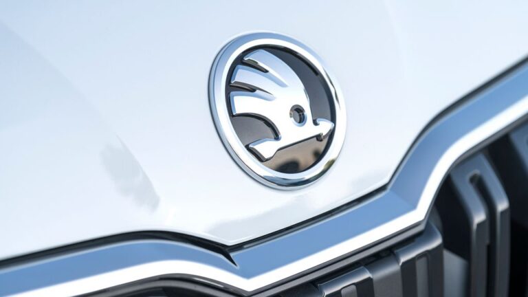 skoda рекорден удел германија
