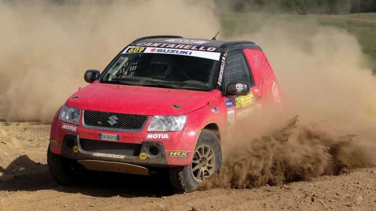 Suzuki направи голема рели трка во Костурско