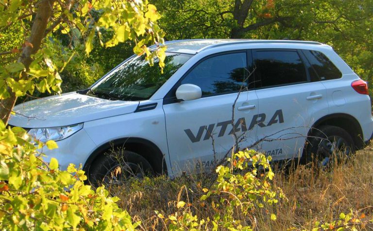Каков избор на користен автомобил е Suzuki Vitara