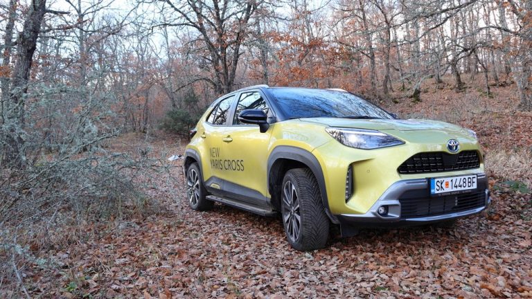 Toyota со рекорден удел во Европа и преку милион автомобили во 2021