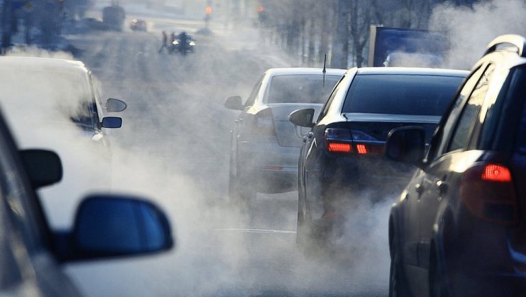 Загаденоста убиствена, мерките козметички