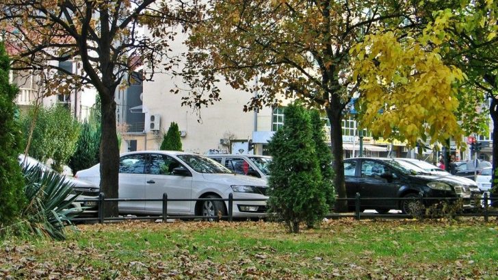 загадување профит коментар